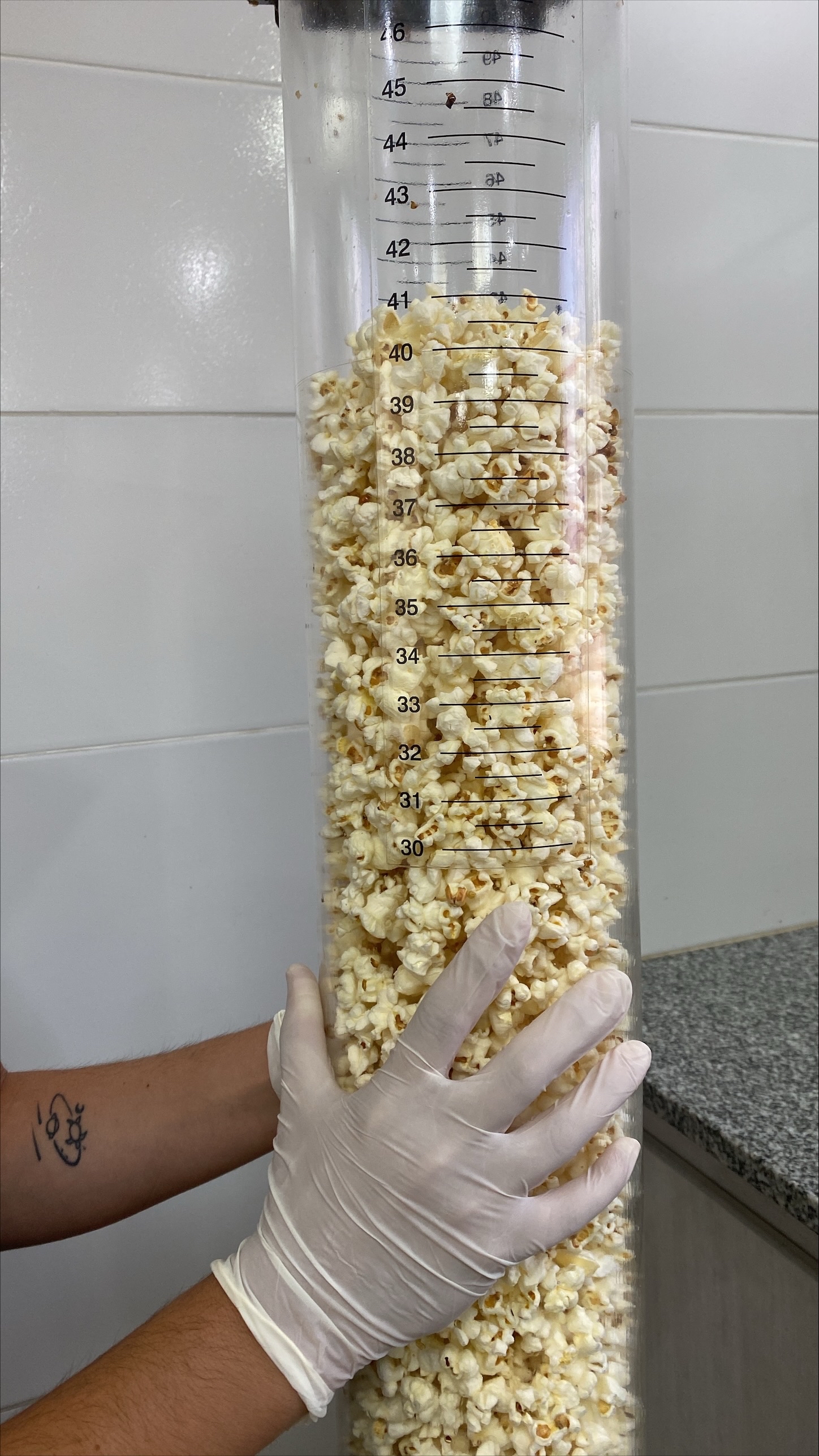 Maíz - ArgentiTrade